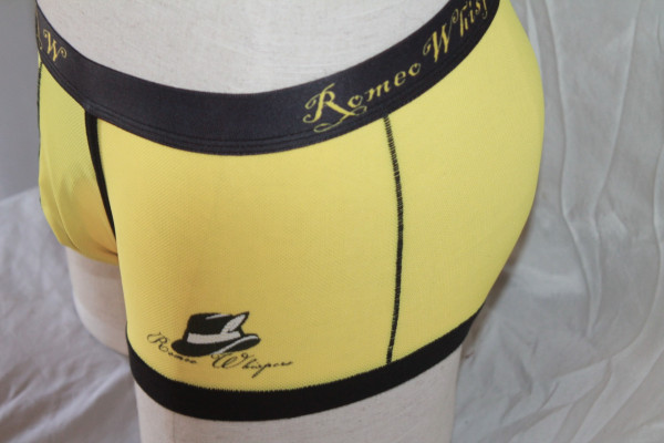 Dry Fit Boxers with Scrotal Support Romeo Whispers side