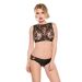 Lace Wet Look Top and Shorts Set Kitten-Boxed 12-6502K