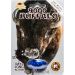 Buffalo 9000 Male Enhancement pill 7 Days Action