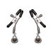 Precious Heart Nipple Clips
